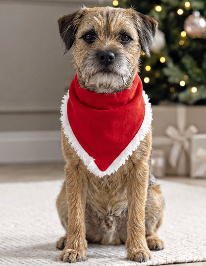 Personalisierte Weihnachts-Bandana für Hunde